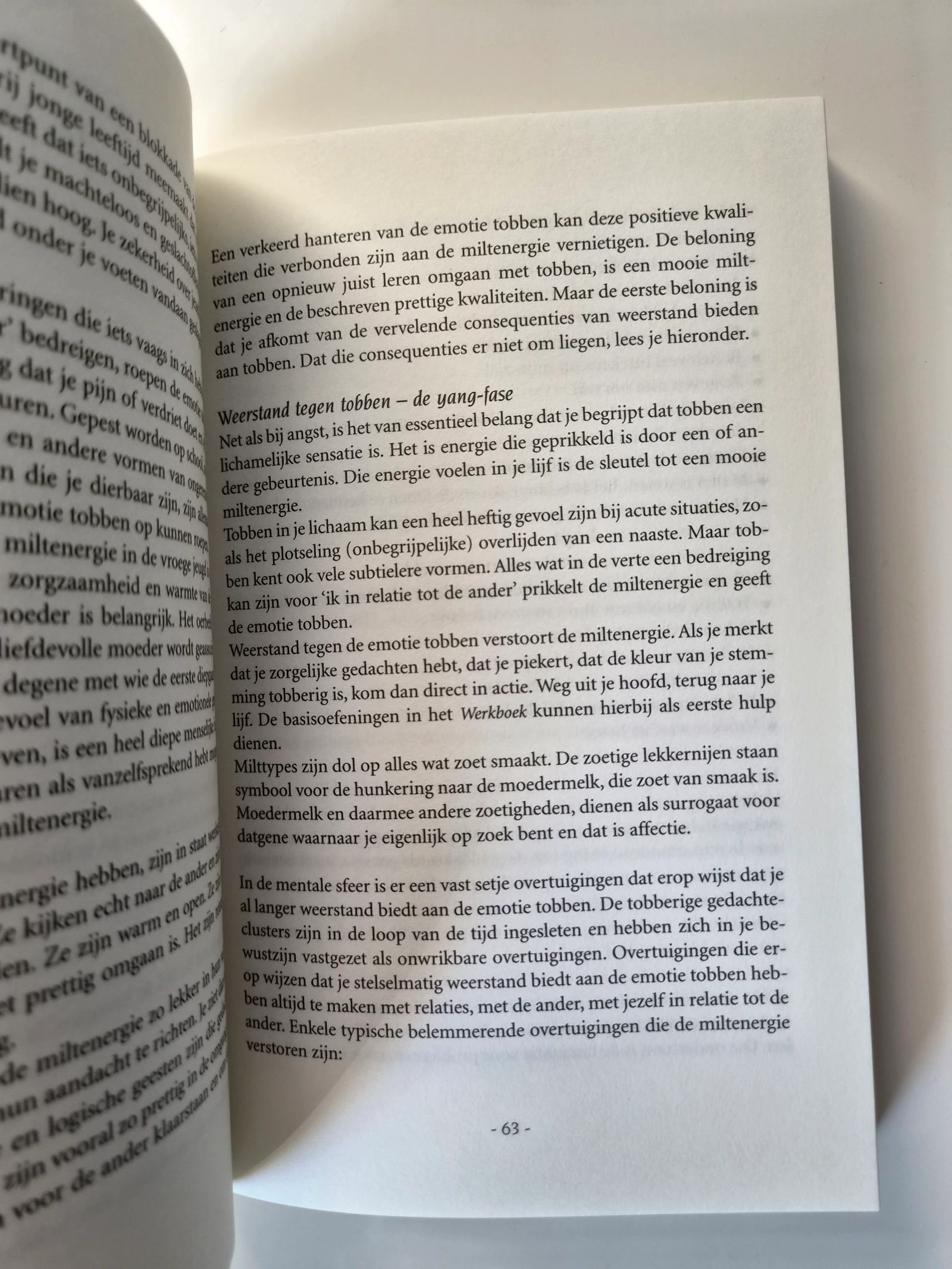 O Livro O Buda Sorridente-Novo – photo 5